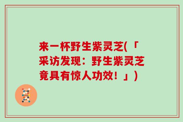 来一杯野生紫灵芝(「采访发现：野生紫灵芝竟具有惊人功效！」)