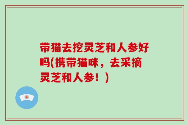带猫去挖灵芝和人参好吗(携带猫咪，去采摘灵芝和人参！)-第1张图片-灵芝大师