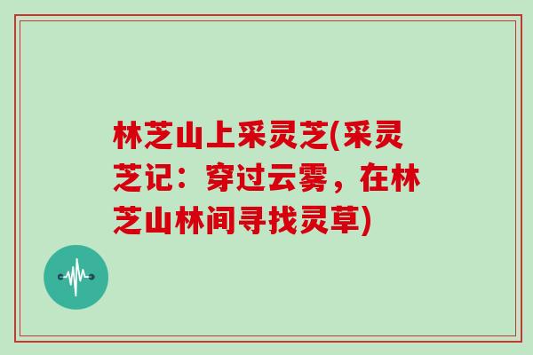 林芝山上采灵芝(采灵芝记：穿过云雾，在林芝山林间寻找灵草)