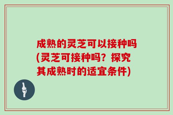 成熟的灵芝可以接种吗(灵芝可接种吗？探究其成熟时的适宜条件)