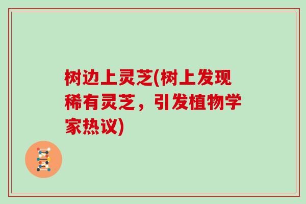 树边上灵芝(树上发现稀有灵芝，引发植物学家热议)