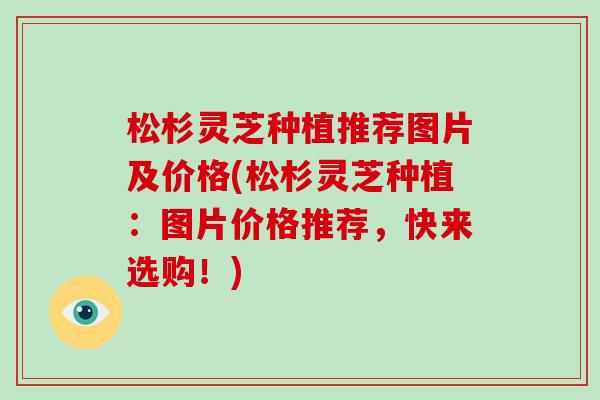松杉灵芝种植推荐图片及价格(松杉灵芝种植：图片价格推荐，快来选购！)