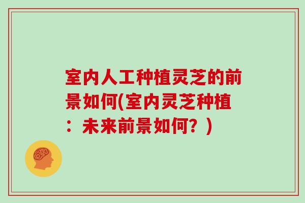 室内人工种植灵芝的前景如何(室内灵芝种植：未来前景如何？)