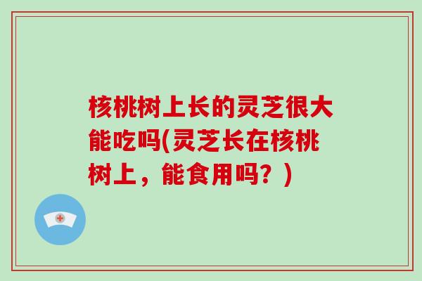 核桃树上长的灵芝很大能吃吗(灵芝长在核桃树上,能食用吗?)-第1张图片-灵芝大师 核桃树上长的灵芝很大能吃吗(灵芝长在核桃树上,能食用吗?)-第1张图片-灵芝大师