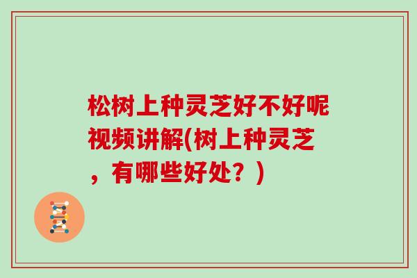 松树上种灵芝好不好呢视频讲解(树上种灵芝,有哪些好处?)-第1张图片-灵芝大师 松树上种灵芝好不好呢视频讲解(树上种灵芝,有哪些好处?)-第1张图片-灵芝大师