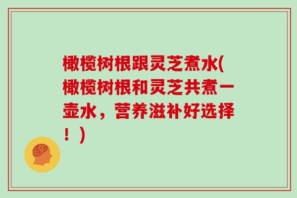 橄榄树根跟灵芝煮水(橄榄树根和灵芝共煮一壶水，营养滋补好选择！)