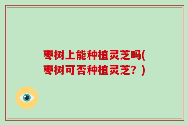 枣树上能种植灵芝吗(枣树可否种植灵芝？)-第1张图片-灵芝大师