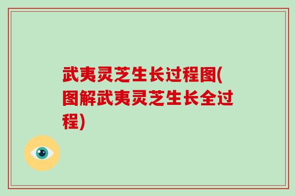 武夷灵芝生长过程图(图解武夷灵芝生长全过程)