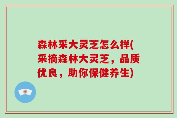 森林采大灵芝怎么样(采摘森林大灵芝,品质优良,助你保健养生)-第1张图片-灵芝大师 森林采大灵芝怎么样(采摘森林大灵芝,品质优良,助你保健养生)-第1张图片-灵芝大师