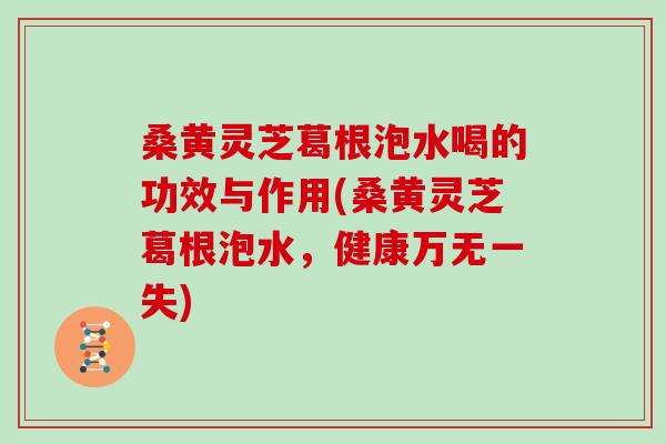 桑黄灵芝葛根泡水喝的功效与作用(桑黄灵芝葛根泡水，健康万无一失)