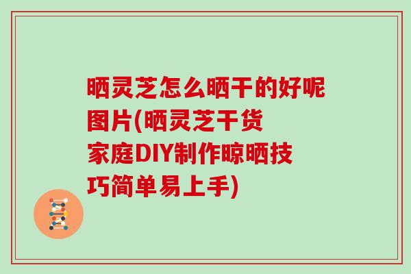 晒灵芝怎么晒干的好呢图片(晒灵芝干货 家庭DIY制作晾晒技巧简单易上手)-第1张图片-灵芝大师 晒灵芝怎么晒干的好呢图片(晒灵芝干货 家庭DIY制作晾晒技巧简单易上手)-第1张图片-灵芝大师