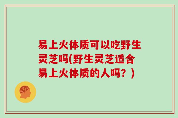 易上火体质可以吃野生灵芝吗(野生灵芝适合易上火体质的人吗?)-第1张图片-灵芝大师 易上火体质可以吃野生灵芝吗(野生灵芝适合易上火体质的人吗?)-第1张图片-灵芝大师