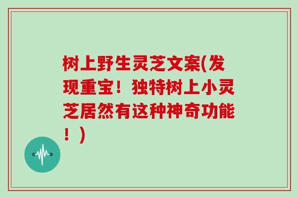 树上野生灵芝文案(发现重宝！独特树上小灵芝居然有这种神奇功能！)