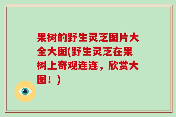 果树的野生灵芝图片大全大图(野生灵芝在果树上奇观连连，欣赏大图！)