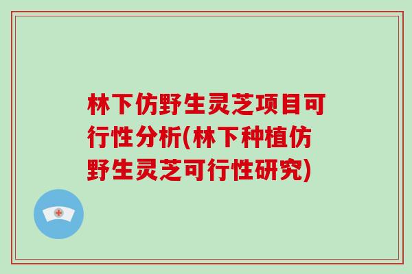 林下仿野生灵芝项目可行性分析(林下种植仿野生灵芝可行性研究)