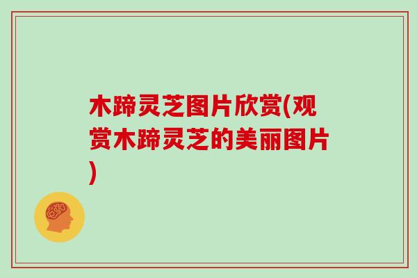 木蹄灵芝图片欣赏(观赏木蹄灵芝的美丽图片)