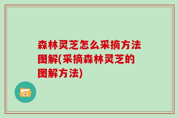 森林灵芝怎么采摘方法图解(采摘森林灵芝的图解方法)-第1张图片-灵芝大师 森林灵芝怎么采摘方法图解(采摘森林灵芝的图解方法)-第1张图片-灵芝大师