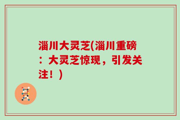 淄川大灵芝(淄川重磅：大灵芝惊现，引发关注！)