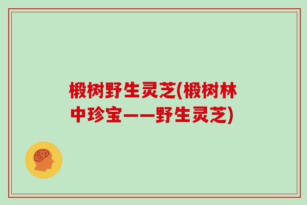 椴树野生灵芝(椴树林中珍宝——野生灵芝)