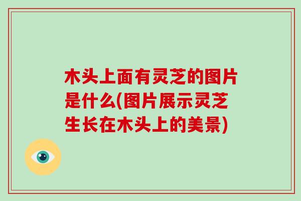 木头上面有灵芝的图片是什么(图片展示灵芝生长在木头上的美景)