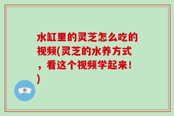 水缸里的灵芝怎么吃的视频(灵芝的水养方式,看这个视频学起来!)-第1张图片-灵芝大师 水缸里的灵芝怎么吃的视频(灵芝的水养方式,看这个视频学起来!)-第1张图片-灵芝大师