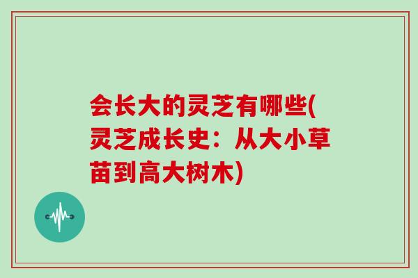 会长大的灵芝有哪些(灵芝成长史:从大小草苗到高大树木)-第1张图片-灵芝大师 会长大的灵芝有哪些(灵芝成长史:从大小草苗到高大树木)-第1张图片-灵芝大师