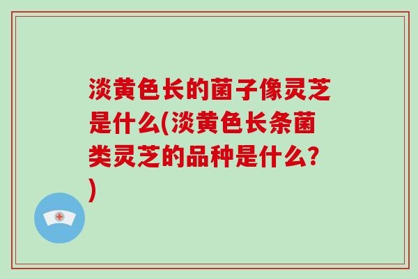 淡黄色长的菌子像灵芝是什么(淡黄色长条菌类灵芝的品种是什么？)
