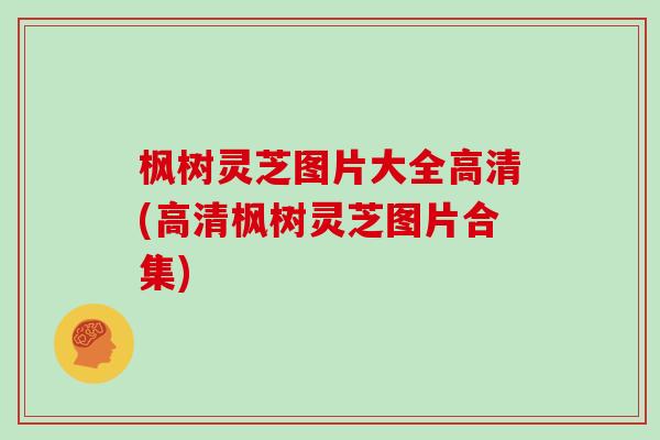 枫树灵芝图片大全高清(高清枫树灵芝图片合集)