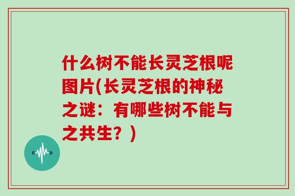 什么树不能长灵芝根呢图片(长灵芝根的神秘之谜：有哪些树不能与之共生？)