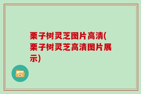栗子树灵芝图片高清(栗子树灵芝高清图片展示)
