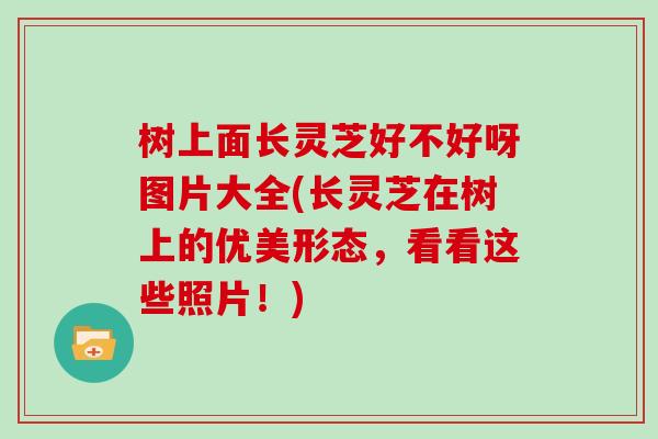 树上面长灵芝好不好呀图片大全(长灵芝在树上的优美形态，看看这些照片！)