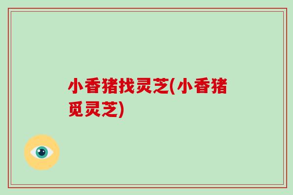 小香猪找灵芝(小香猪觅灵芝)-第1张图片-灵芝大师 小香猪找灵芝(小香猪觅灵芝)-第1张图片-灵芝大师