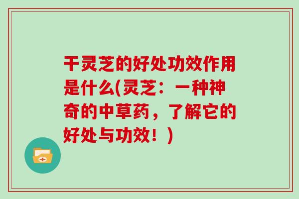 干灵芝的好处功效作用是什么(灵芝：一种神奇的中草药，了解它的好处与功效！)
