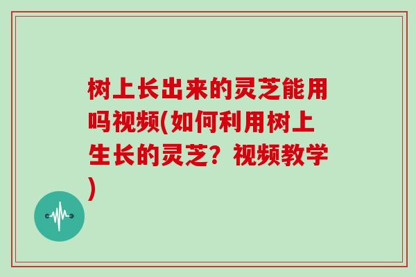 树上长出来的灵芝能用吗视频(如何利用树上生长的灵芝？视频教学)