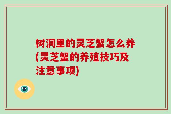 树洞里的灵芝蟹怎么养(灵芝蟹的养殖技巧及注意事项)