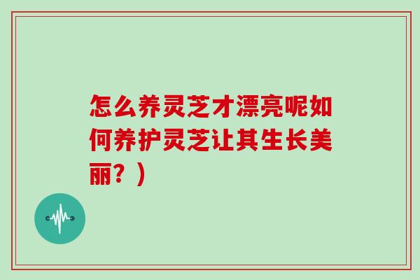 怎么养灵芝才漂亮呢如何养护灵芝让其生长美丽？)
