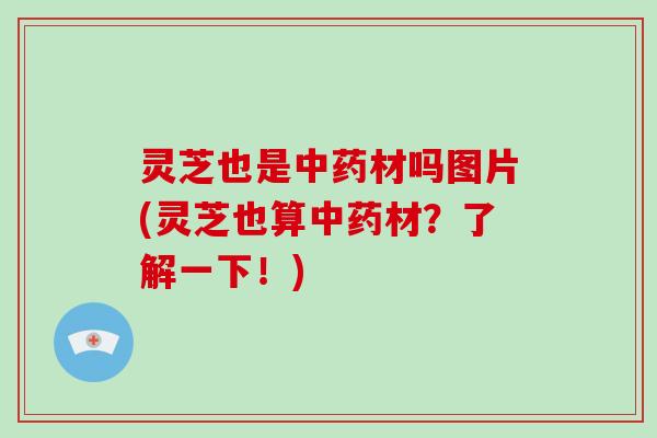 灵芝也是中药材吗图片(灵芝也算中药材？了解一下！)