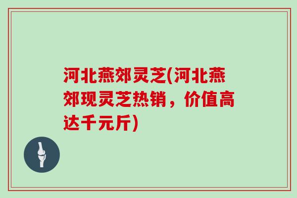 河北燕郊灵芝(河北燕郊现灵芝热销，价值高达千元斤)