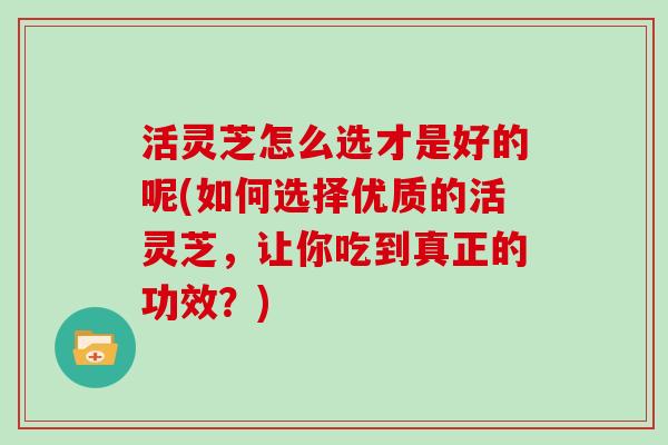 活灵芝怎么选才是好的呢(如何选择优质的活灵芝,让你吃到真正的功效?)-第1张图片-灵芝大师 活灵芝怎么选才是好的呢(如何选择优质的活灵芝,让你吃到真正的功效?)-第1张图片-灵芝大师