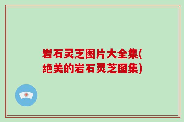 岩石灵芝图片大全集(绝美的岩石灵芝图集)
