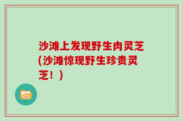 沙滩上发现野生肉灵芝(沙滩惊现野生珍贵灵芝!)-第1张图片-灵芝大师 沙滩上发现野生肉灵芝(沙滩惊现野生珍贵灵芝!)-第1张图片-灵芝大师