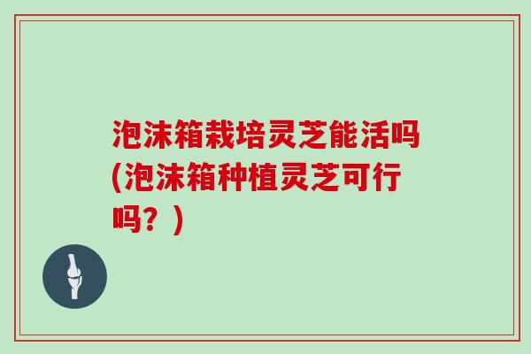 泡沫箱栽培灵芝能活吗(泡沫箱种植灵芝可行吗？)