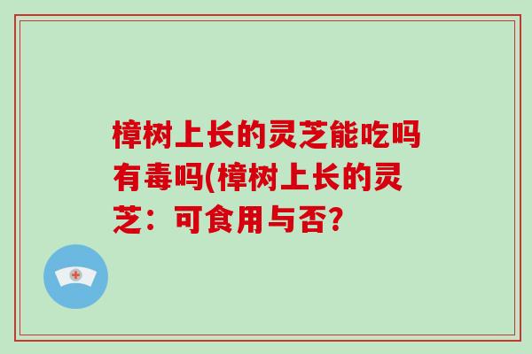 樟树上长的灵芝能吃吗有毒吗(樟树上长的灵芝:可食用与否?-第1张图片-灵芝大师 樟树上长的灵芝能吃吗有毒吗(樟树上长的灵芝:可食用与否?-第1张图片-灵芝大师