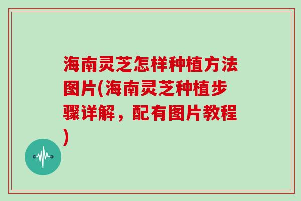 海南灵芝怎样种植方法图片(海南灵芝种植步骤详解，配有图片教程)