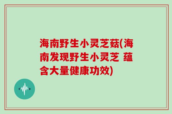 海南野生小灵芝菇(海南发现野生小灵芝 蕴含大量健康功效)