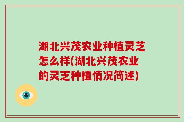 湖北兴茂农业种植灵芝怎么样(湖北兴茂农业的灵芝种植情况简述)