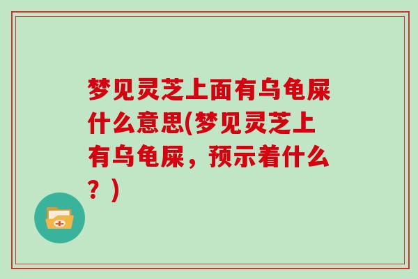 梦见灵芝上面有乌龟屎什么意思(梦见灵芝上有乌龟屎，预示着什么？)