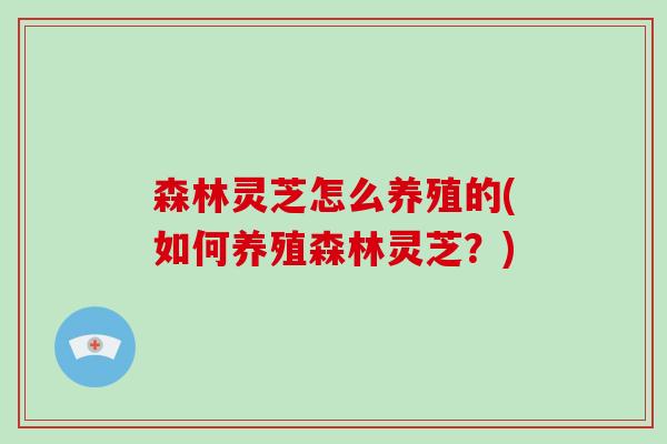 森林灵芝怎么养殖的(如何养殖森林灵芝？)