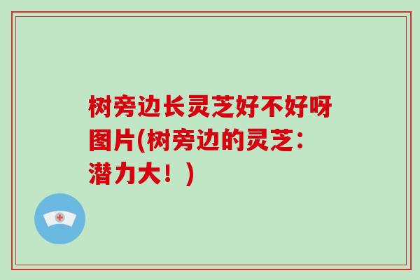 树旁边长灵芝好不好呀图片(树旁边的灵芝：潜力大！)