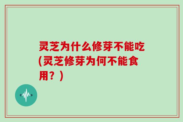灵芝为什么修芽不能吃(灵芝修芽为何不能食用？)